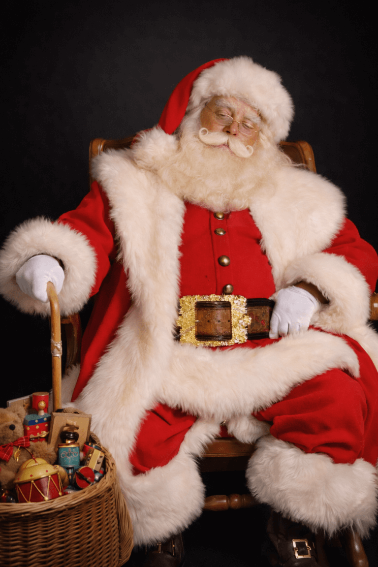 Père Noël entreprise professionnel